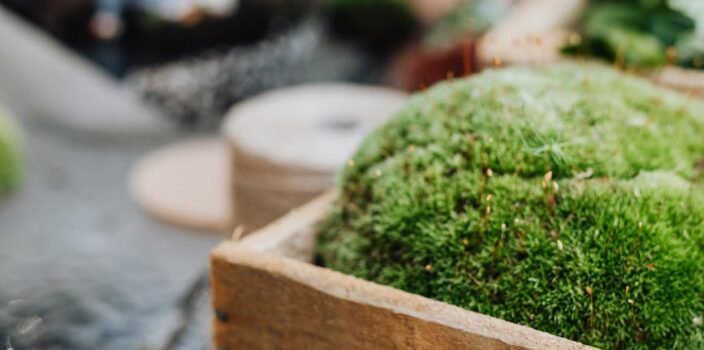 Wie futuristische Gartenmöbel aus Moos die Outdoor-Oase revolutionieren