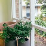 Lebende Trennwand: Mikroalgen‑Photobioreaktor als Möbelstück – Licht, Luft und Akustik in einem