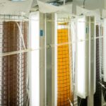 Lebende Lichtwände zu Hause: Mikroalgen-Bioreaktoren als Design, Luftreiniger und Lampe in einem